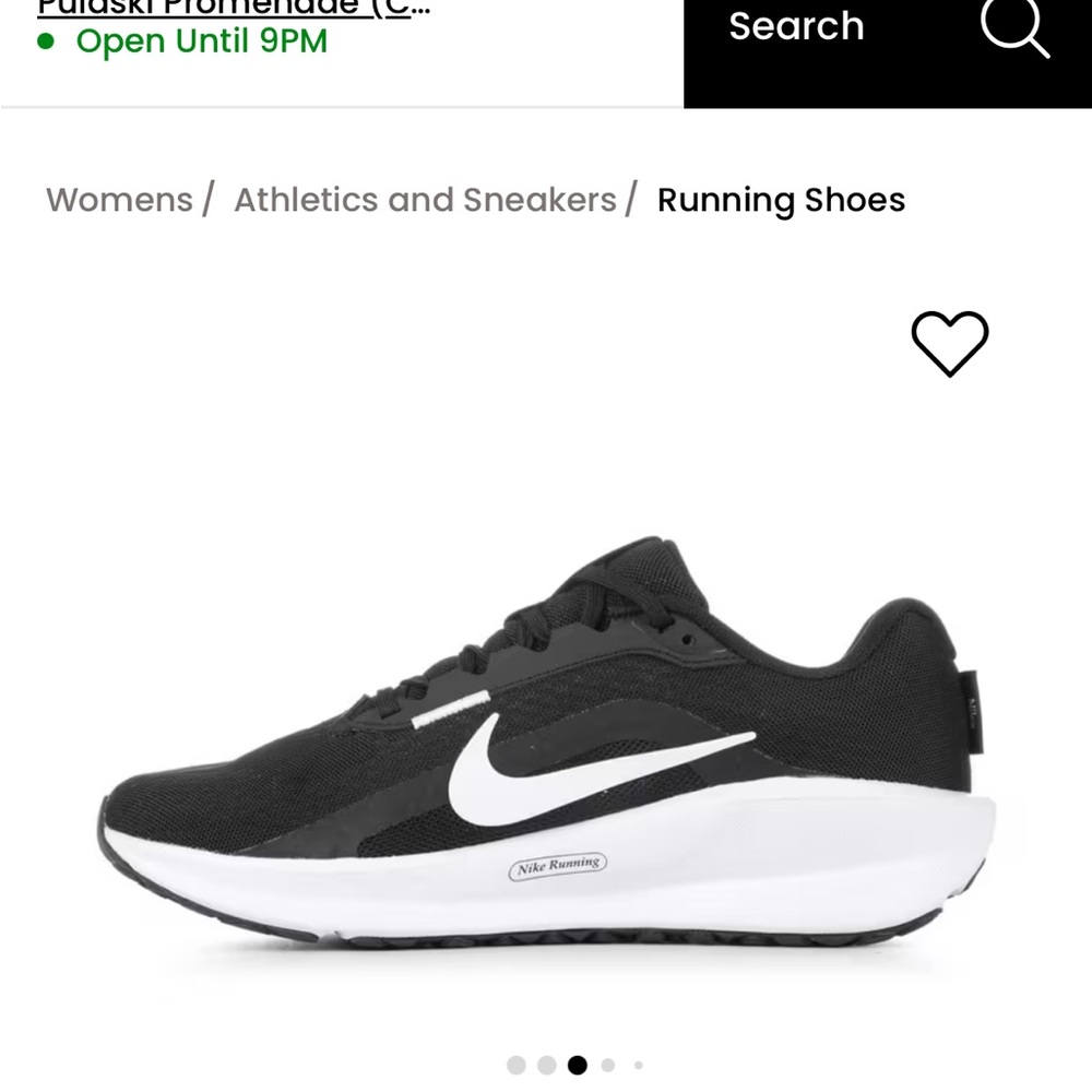 Nike downshifter 13 men’s shoes